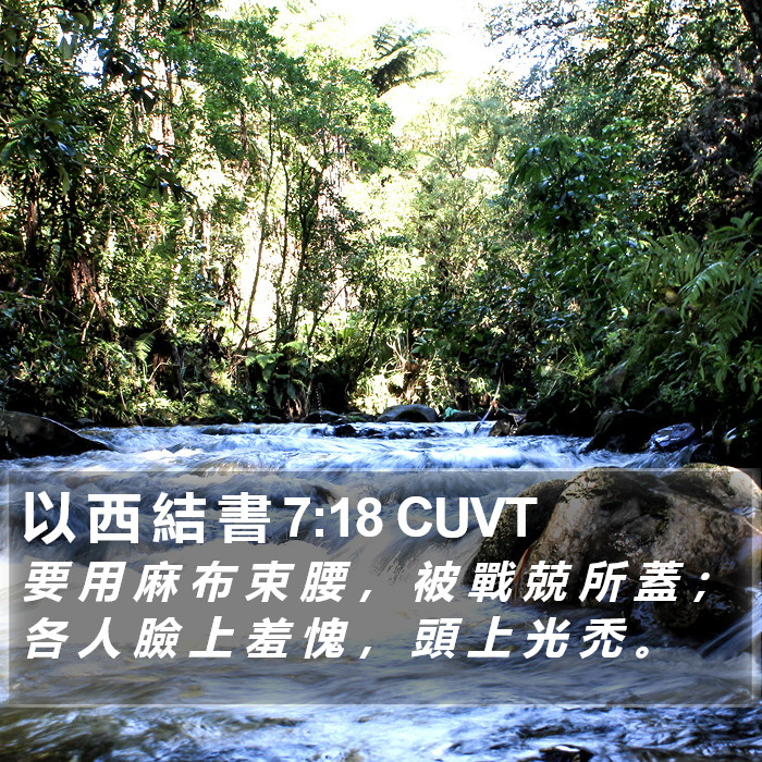 以 西 結 書 7:18 CUVT Bible Study