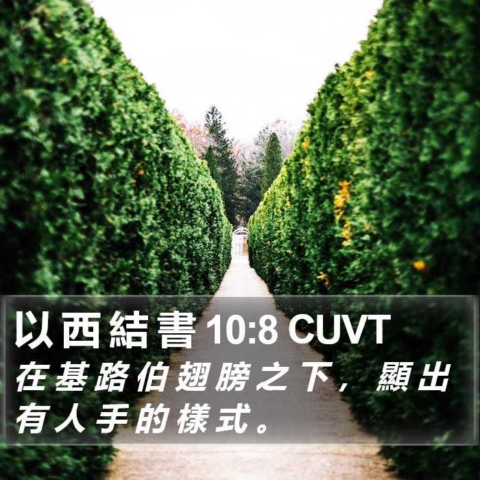 以 西 結 書 10:8 CUVT Bible Study