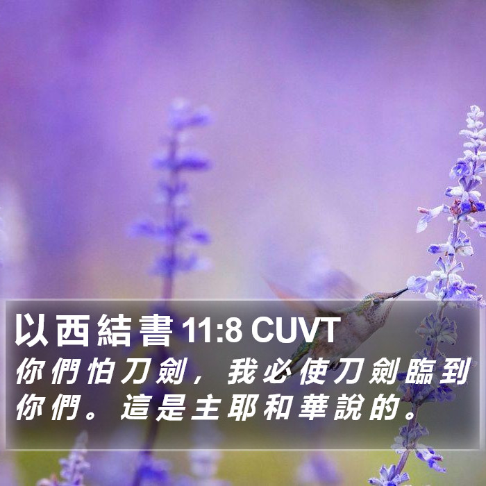 以 西 結 書 11:8 CUVT Bible Study