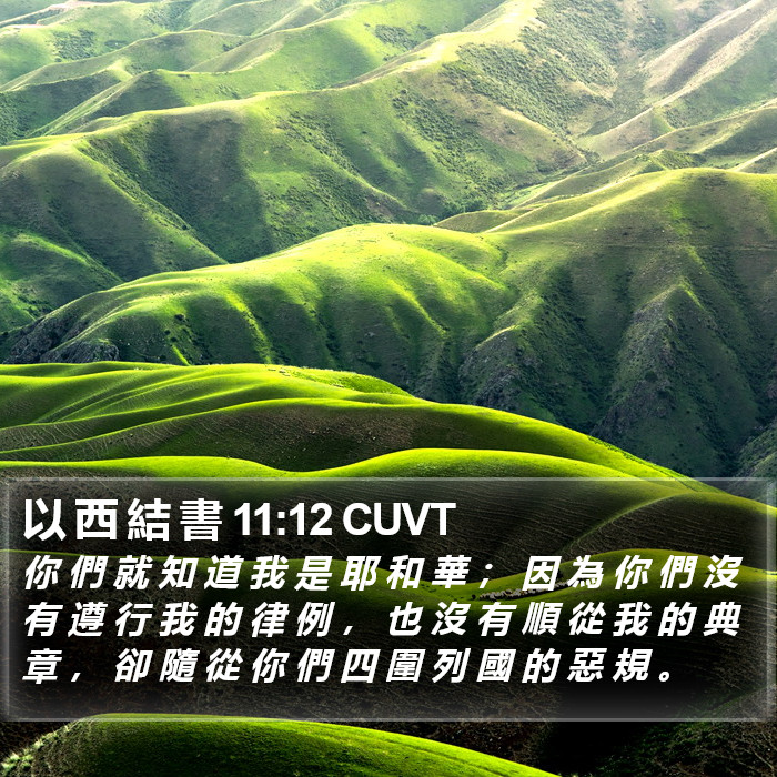 以 西 結 書 11:12 CUVT Bible Study