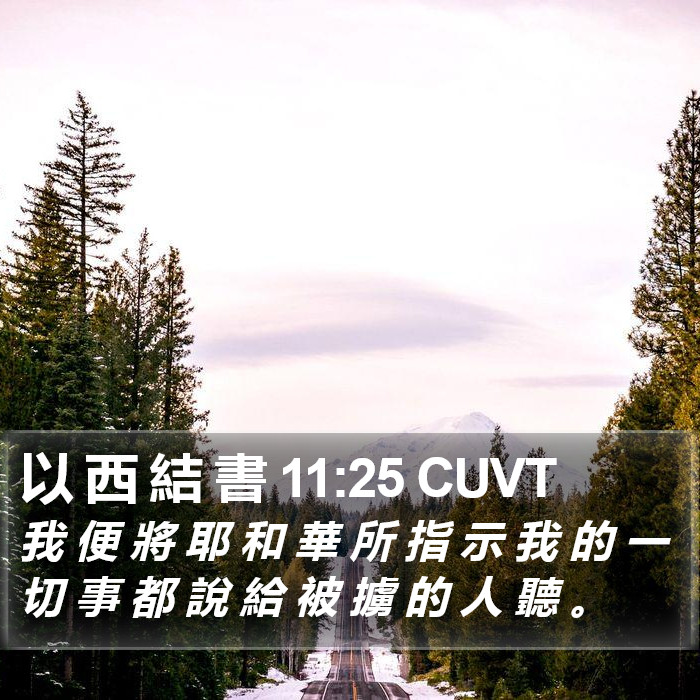 以 西 結 書 11:25 CUVT Bible Study