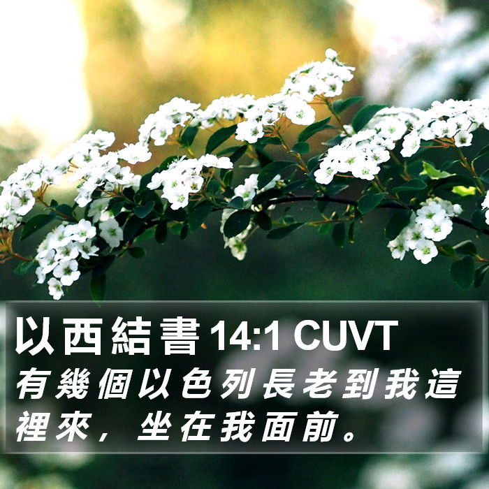 以 西 結 書 14:1 CUVT Bible Study