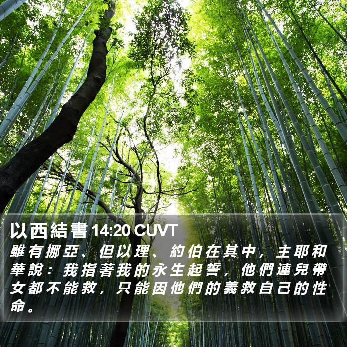 以 西 結 書 14:20 CUVT Bible Study