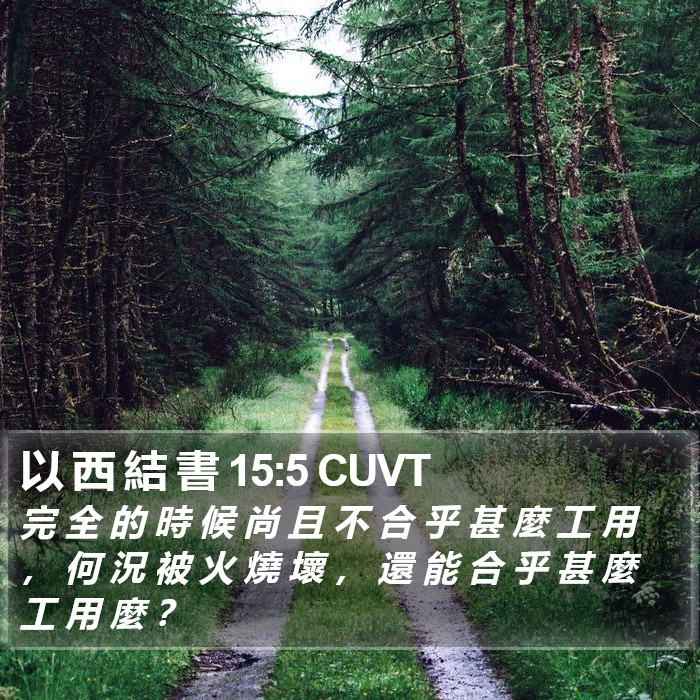 以 西 結 書 15:5 CUVT Bible Study