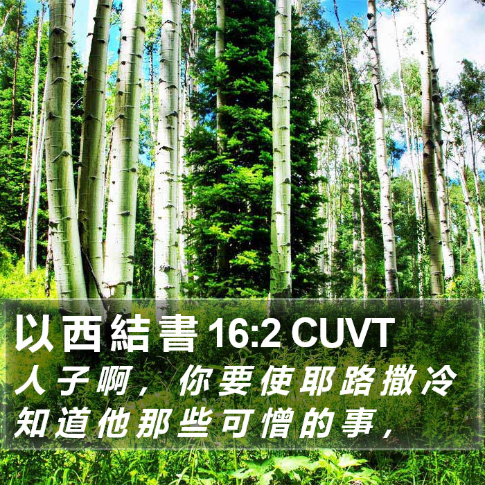 以 西 結 書 16:2 CUVT Bible Study