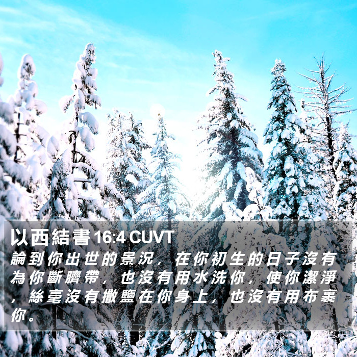 以 西 結 書 16:4 CUVT Bible Study