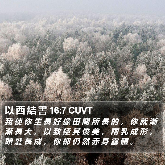 以 西 結 書 16:7 CUVT Bible Study