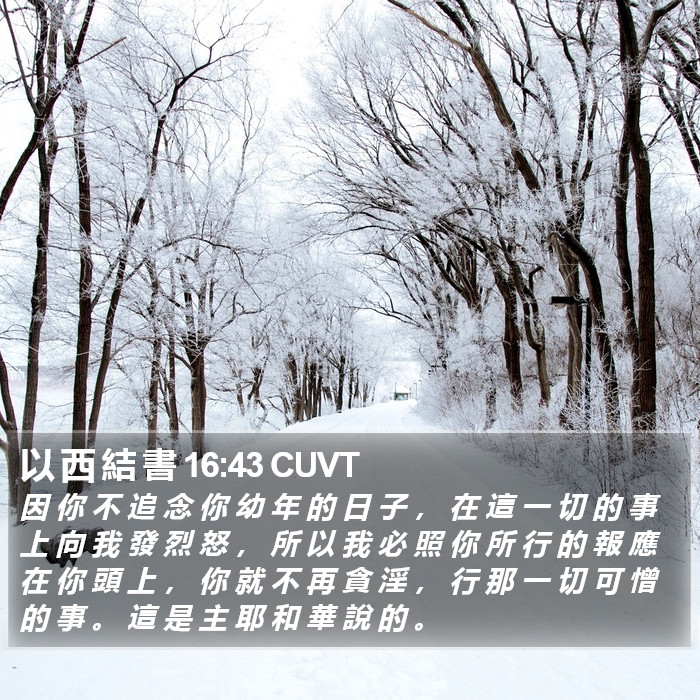 以 西 結 書 16:43 CUVT Bible Study