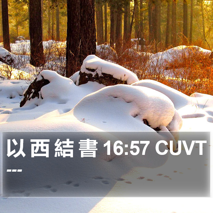 以 西 結 書 16:57 CUVT Bible Study