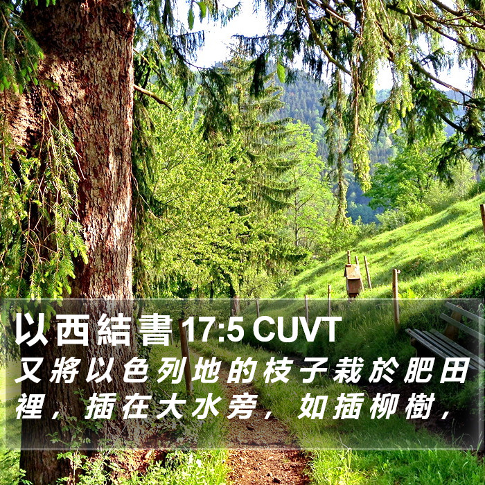 以 西 結 書 17:5 CUVT Bible Study