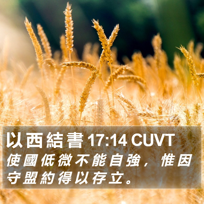 以 西 結 書 17:14 CUVT Bible Study