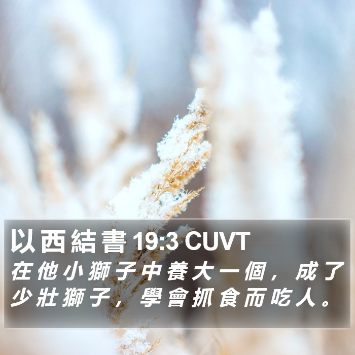 以 西 結 書 19:3 CUVT Bible Study