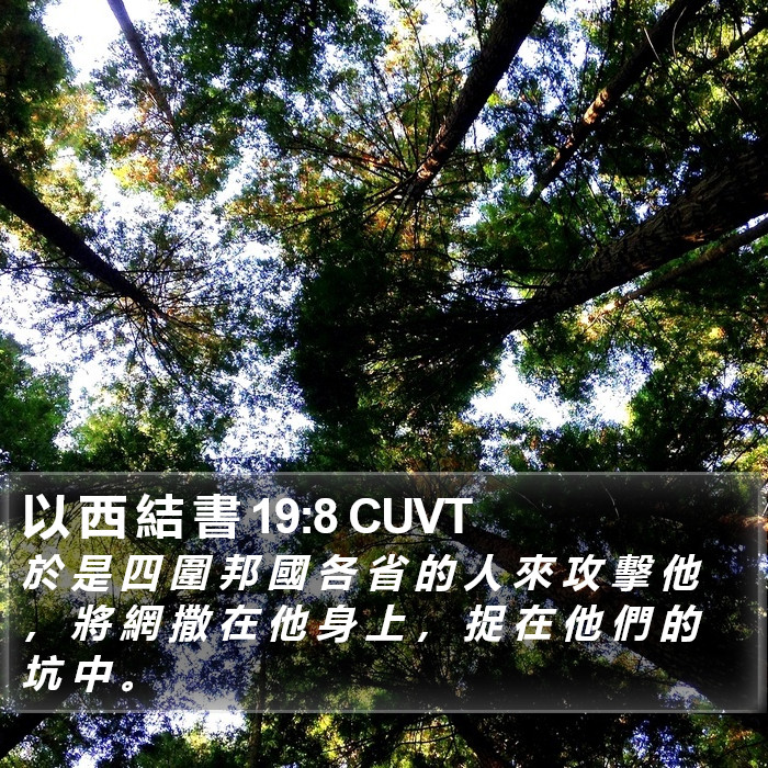 以 西 結 書 19:8 CUVT Bible Study