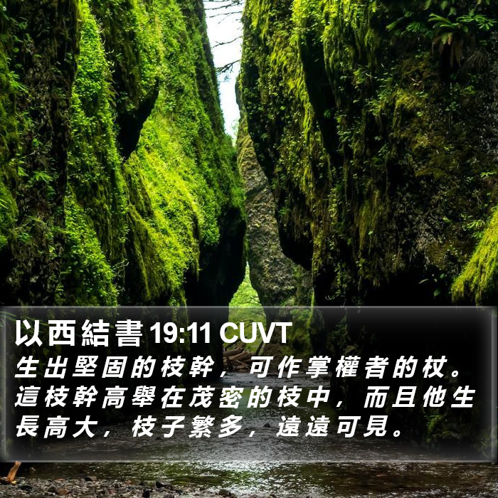 以 西 結 書 19:11 CUVT Bible Study