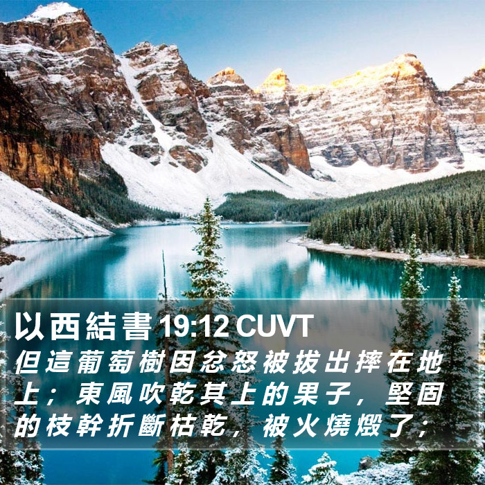 以 西 結 書 19:12 CUVT Bible Study
