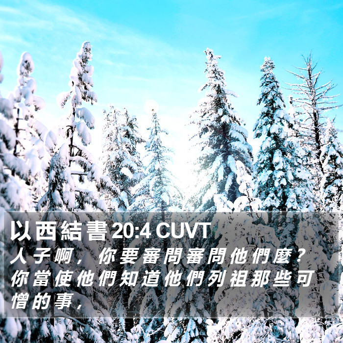 以 西 結 書 20:4 CUVT Bible Study