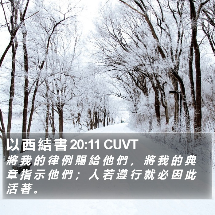 以 西 結 書 20:11 CUVT Bible Study