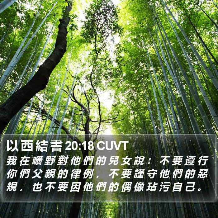 以 西 結 書 20:18 CUVT Bible Study