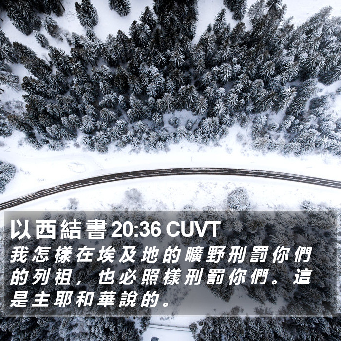 以 西 結 書 20:36 CUVT Bible Study