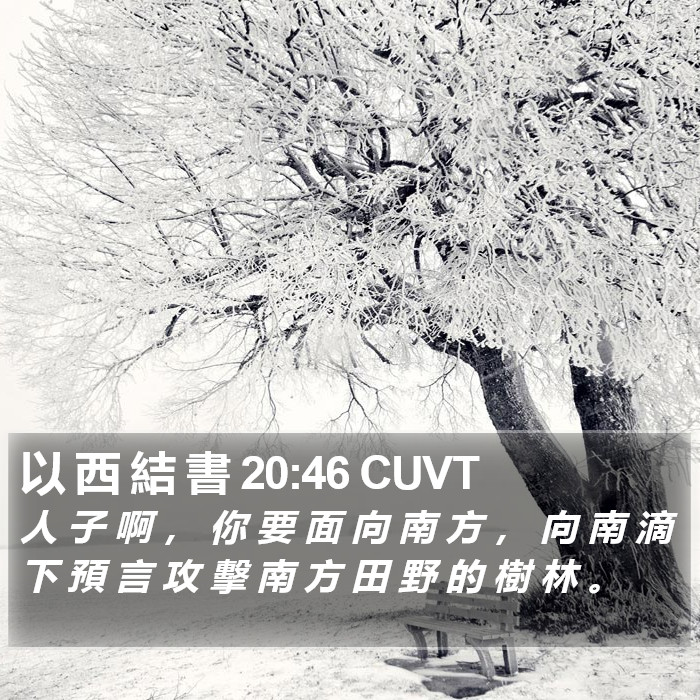 以 西 結 書 20:46 CUVT Bible Study