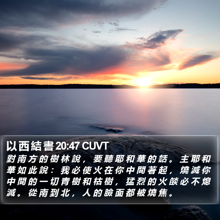 以 西 結 書 20:47 CUVT Bible Study