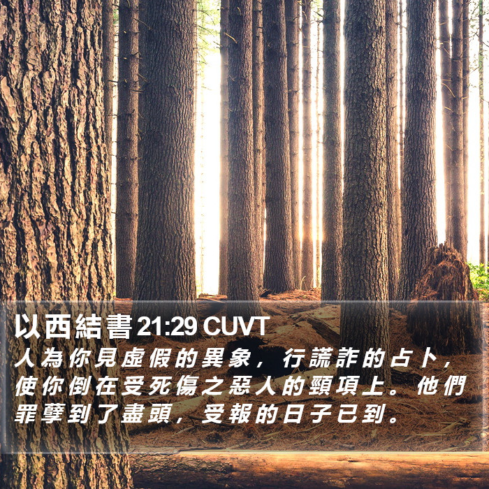 以 西 結 書 21:29 CUVT Bible Study