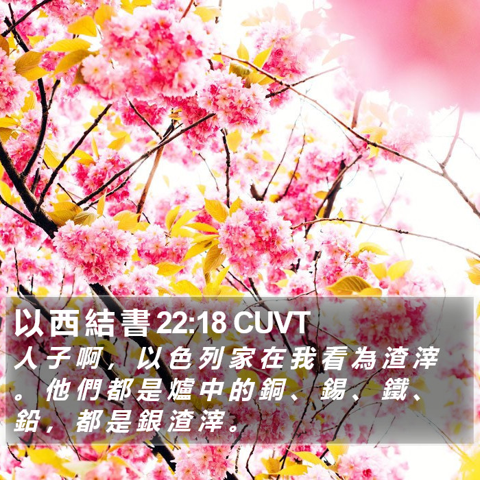 以 西 結 書 22:18 CUVT Bible Study