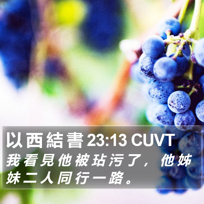 以 西 結 書 23:13 CUVT Bible Study