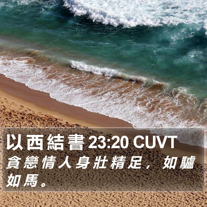 以 西 結 書 23:20 CUVT Bible Study