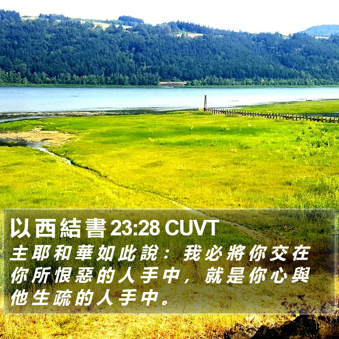 以 西 結 書 23:28 CUVT Bible Study