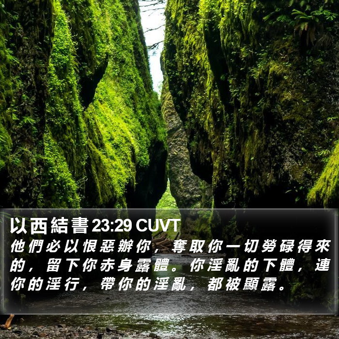 以 西 結 書 23:29 CUVT Bible Study