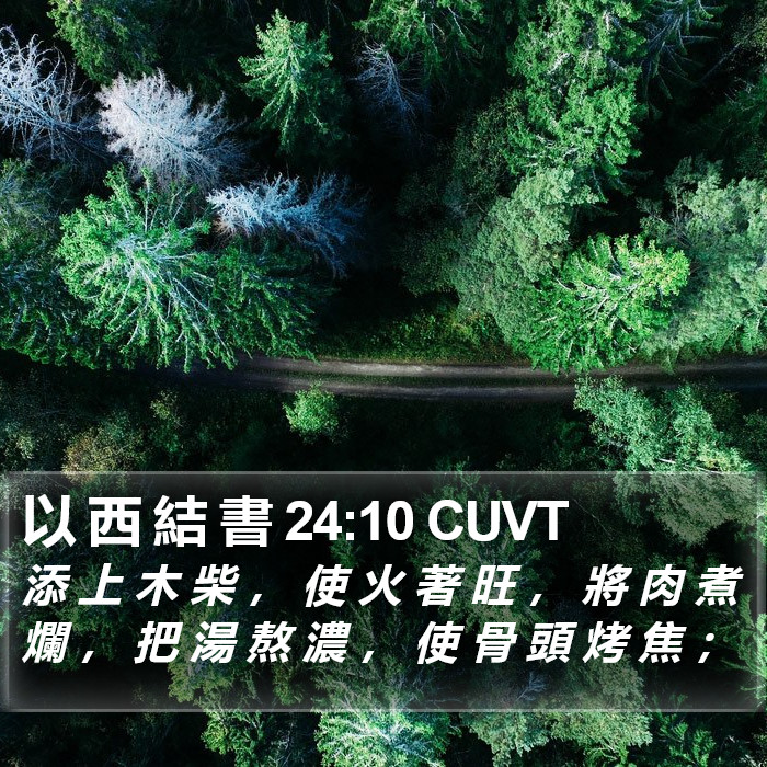 以 西 結 書 24:10 CUVT Bible Study