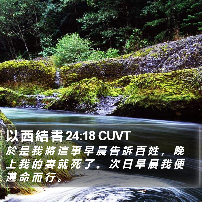 以 西 結 書 24:18 CUVT Bible Study