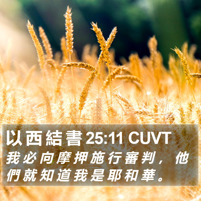 以 西 結 書 25:11 CUVT Bible Study