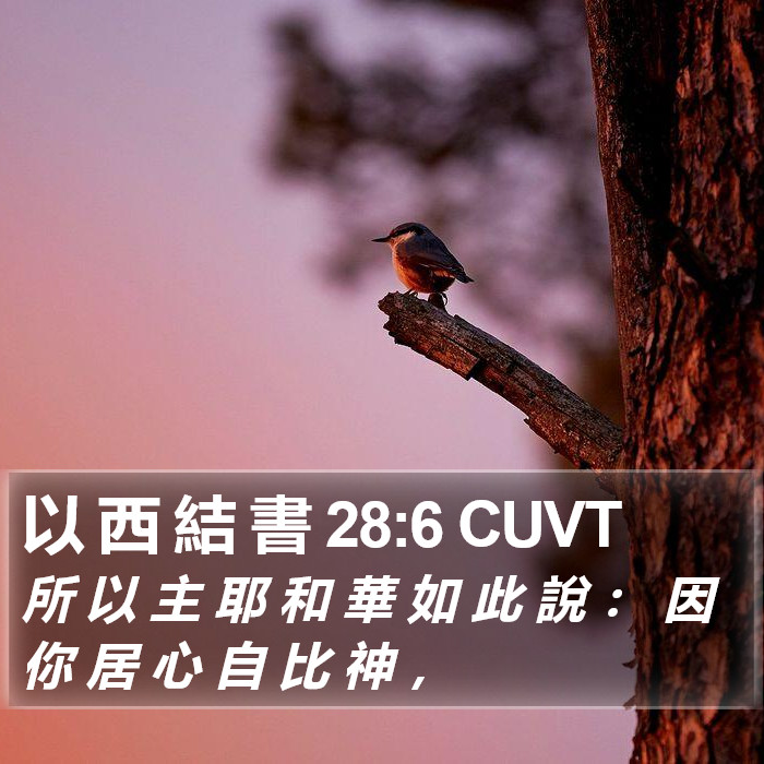以 西 結 書 28:6 CUVT Bible Study