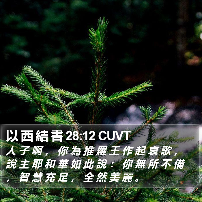 以 西 結 書 28:12 CUVT Bible Study