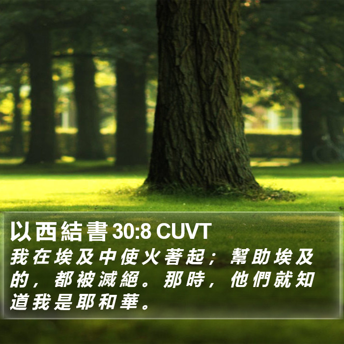 以 西 結 書 30:8 CUVT Bible Study