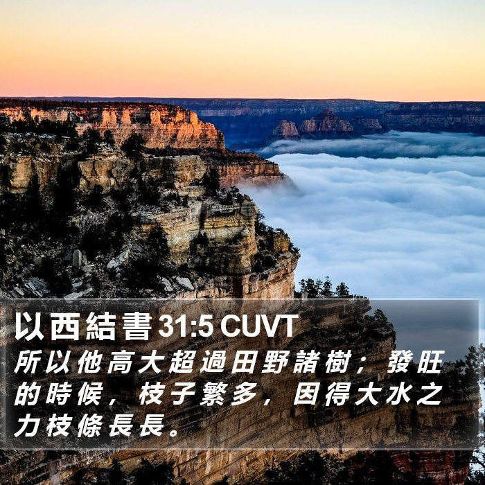 以 西 結 書 31:5 CUVT Bible Study