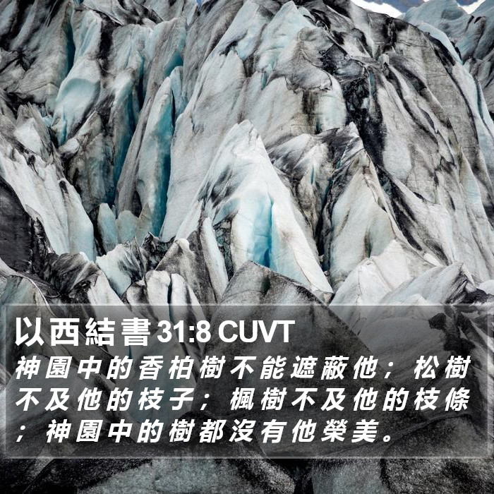以 西 結 書 31:8 CUVT Bible Study