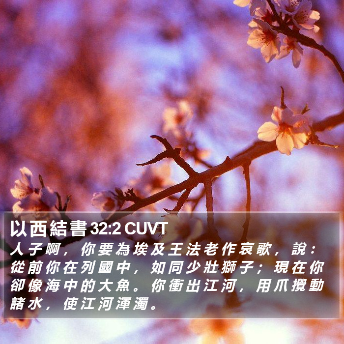 以 西 結 書 32:2 CUVT Bible Study