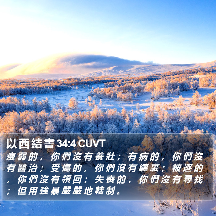 以 西 結 書 34:4 CUVT Bible Study