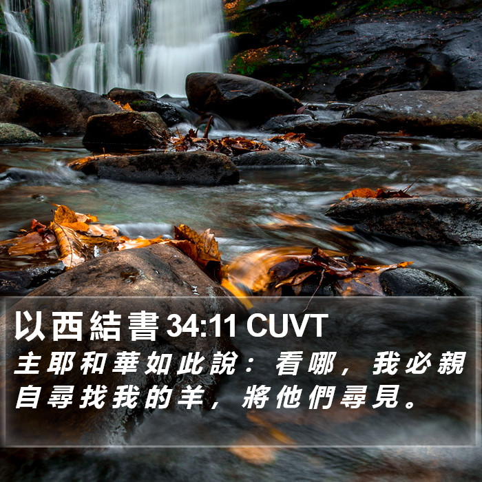 以 西 結 書 34:11 CUVT Bible Study