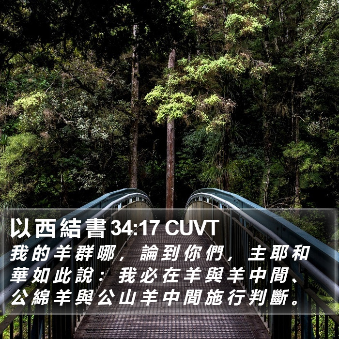 以 西 結 書 34:17 CUVT Bible Study