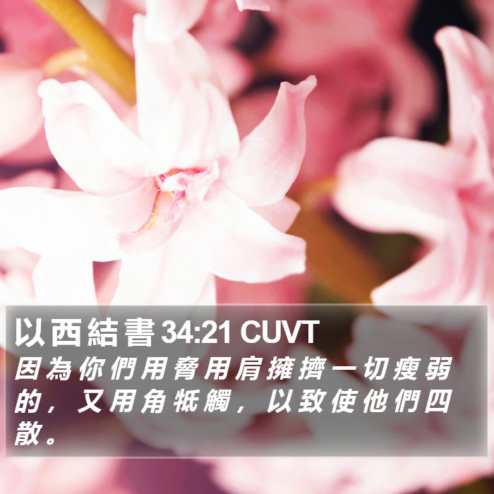 以 西 結 書 34:21 CUVT Bible Study