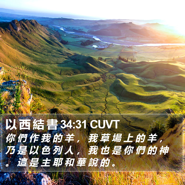 以 西 結 書 34:31 CUVT Bible Study