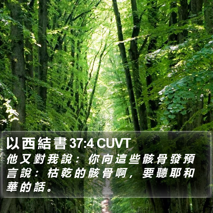 以 西 結 書 37:4 CUVT Bible Study