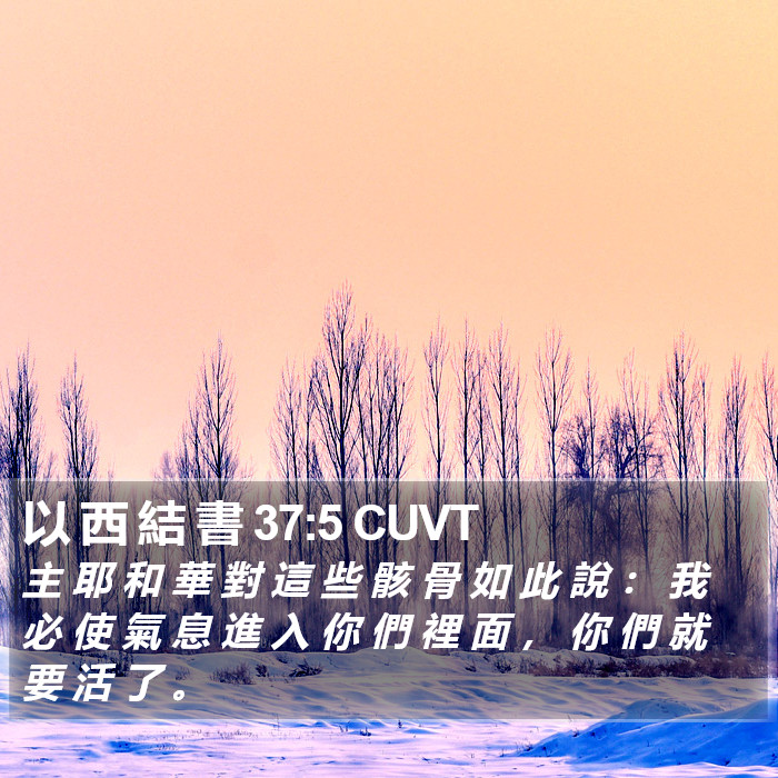 以 西 結 書 37:5 CUVT Bible Study