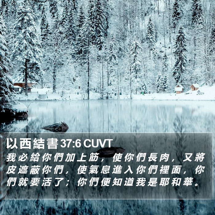 以 西 結 書 37:6 CUVT Bible Study