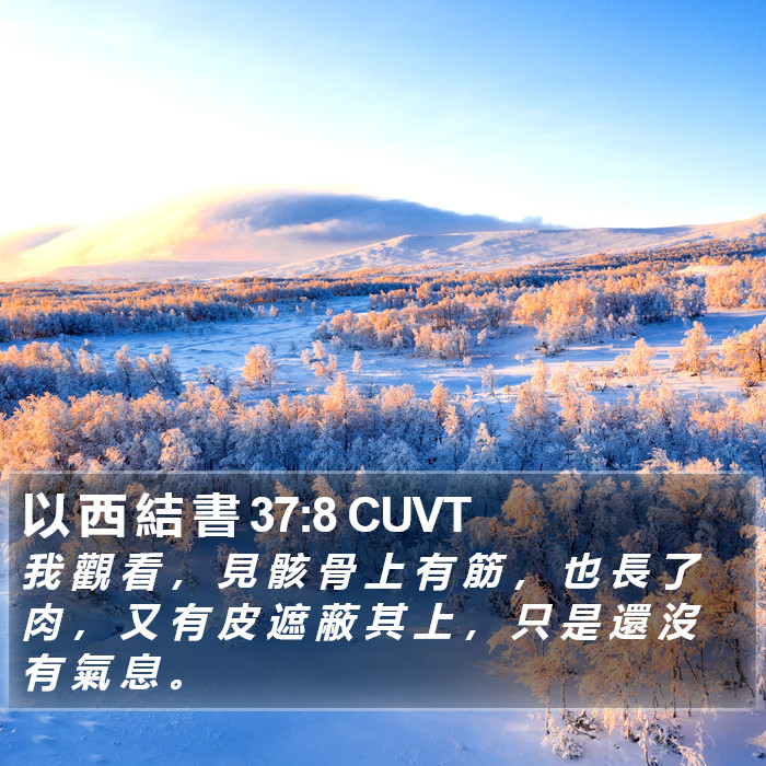 以 西 結 書 37:8 CUVT Bible Study