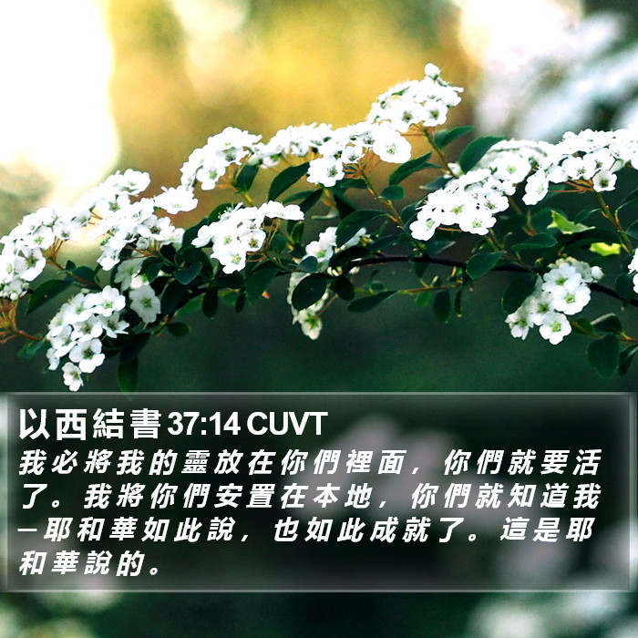 以 西 結 書 37:14 CUVT Bible Study